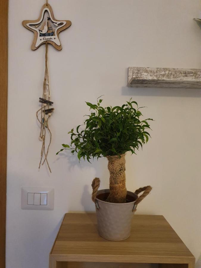 Bella Alba Apartment On The Beach Alba Adriatica Bagian luar foto